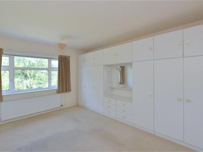 Picture 13